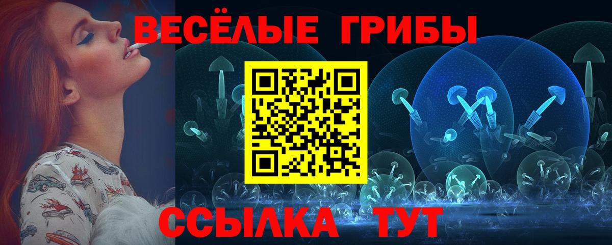 сколько стоит  Псилоцибиновые грибы мухоморы  Вход с VPN  Первоуральск 